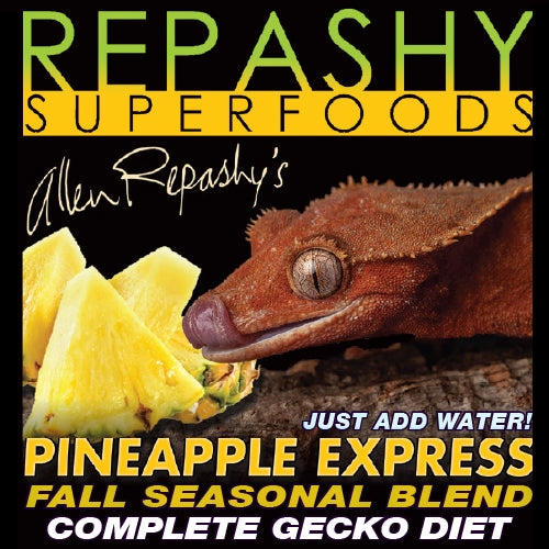 Repashy Superfoods - Pineapple Express Gecko Diet – Wilbanks Captive Bred  Reptiles