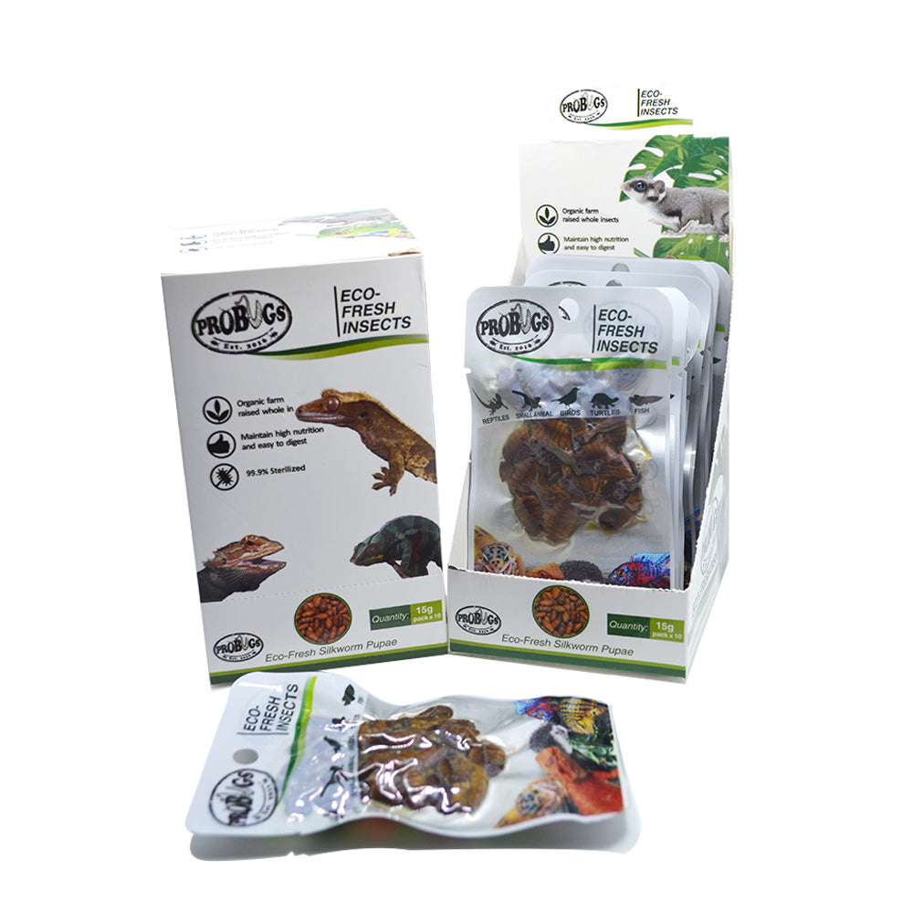 ProBugs Silkworm Pupae