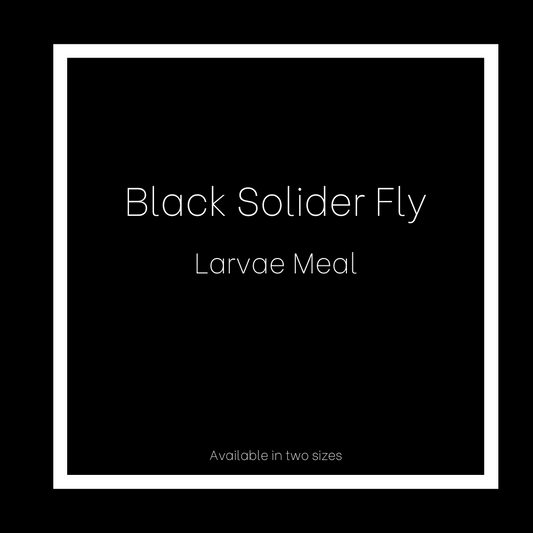 Black Solider Fly Larvae Meal