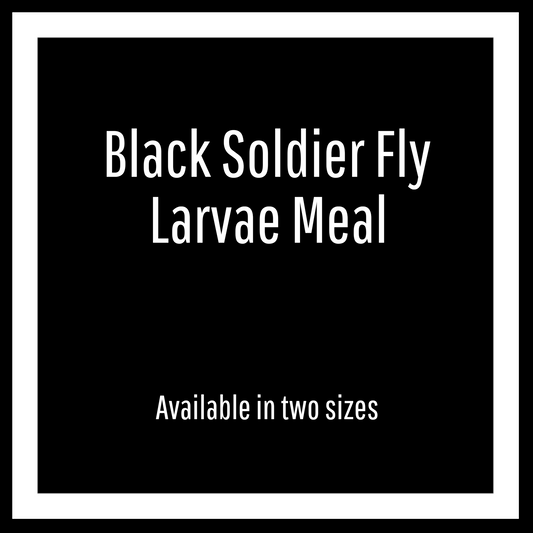 Black Soldier Fly Larvae Meal