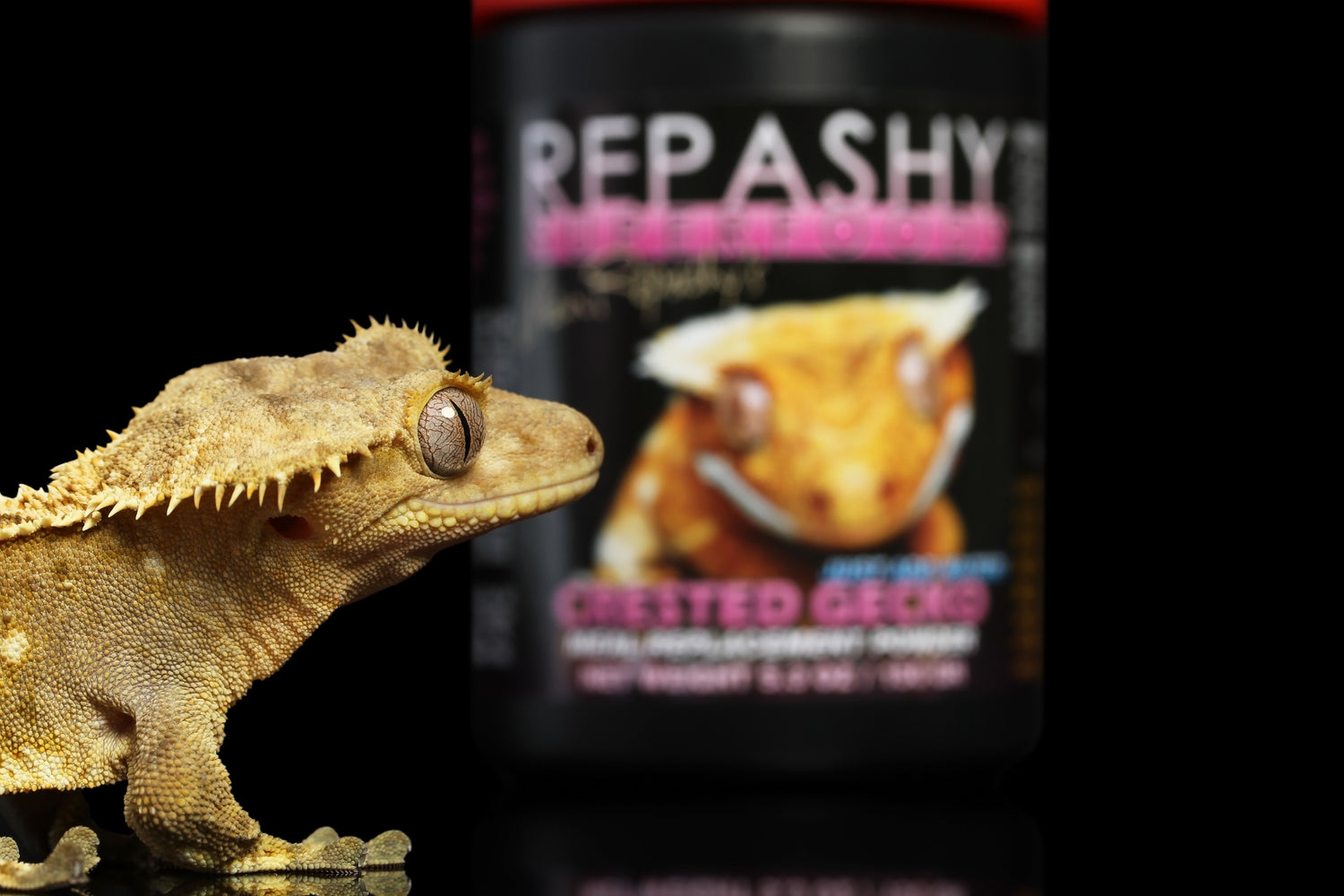 Repashy Superfoods