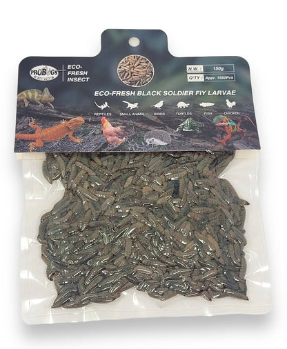 ProBugs Black Soldier Fly Larvae