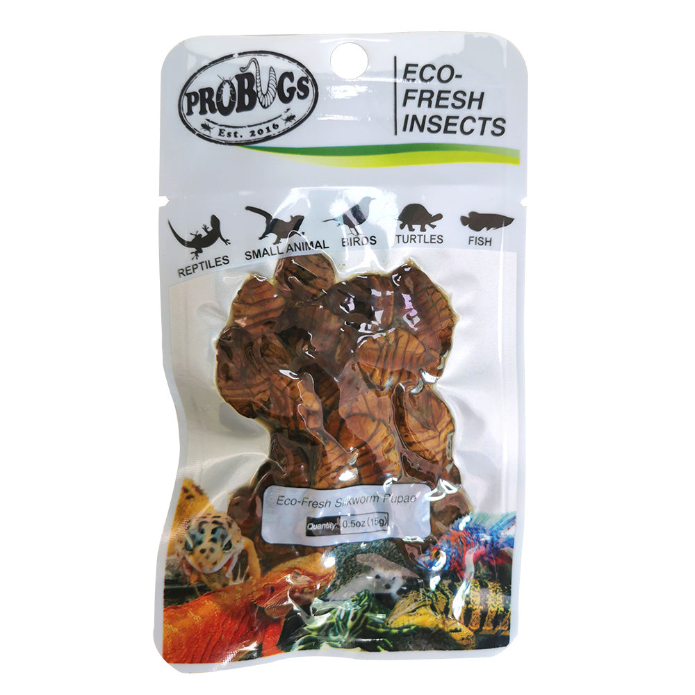 ProBugs Silkworm Pupae